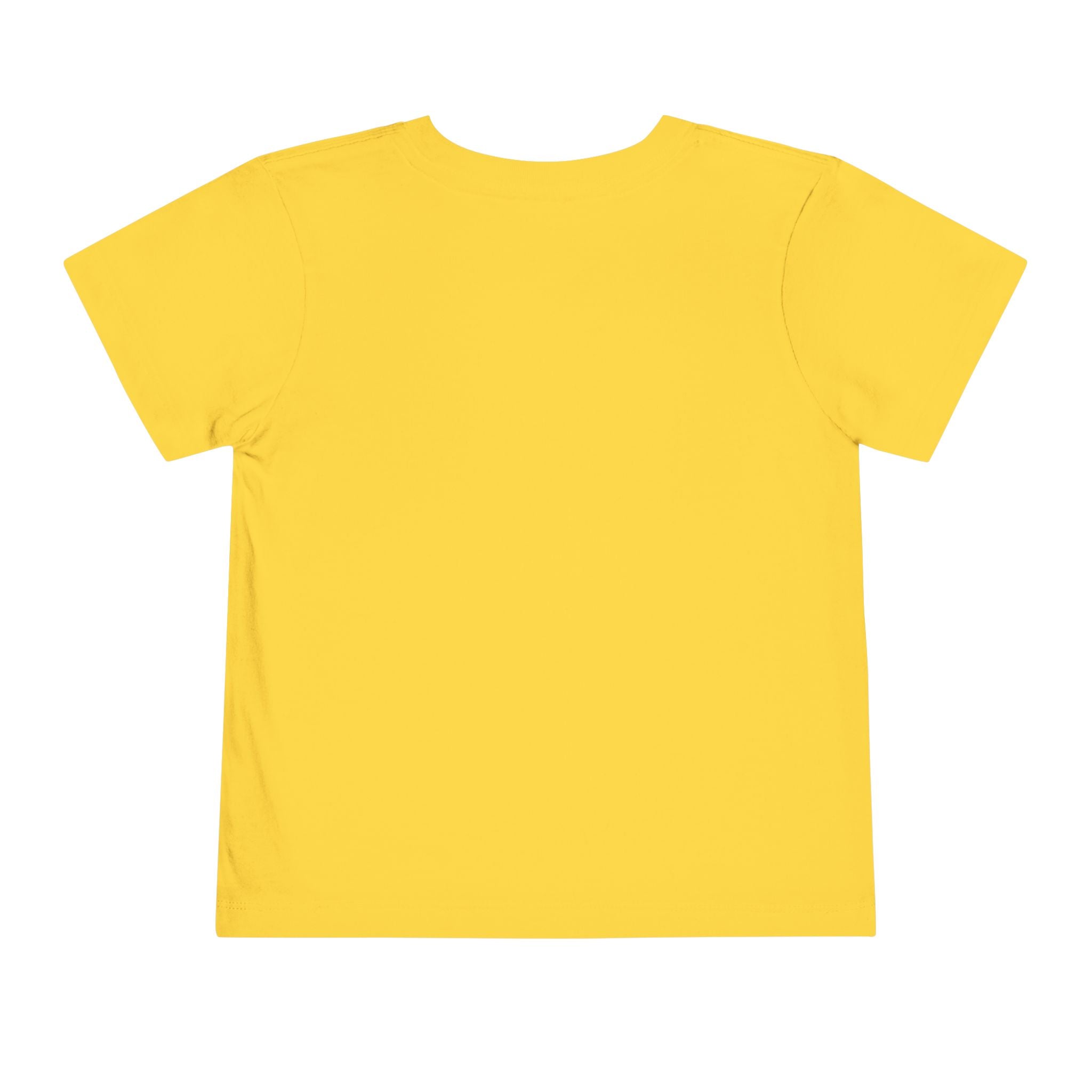 Raised on Sweet Tea & Sunshine Toddler Tee